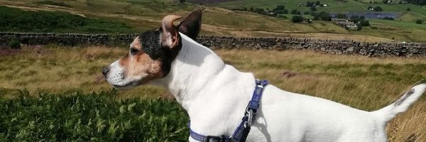 Darlotoon Profile Banner