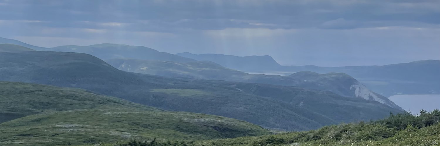 sbuchholz17's profile banner image