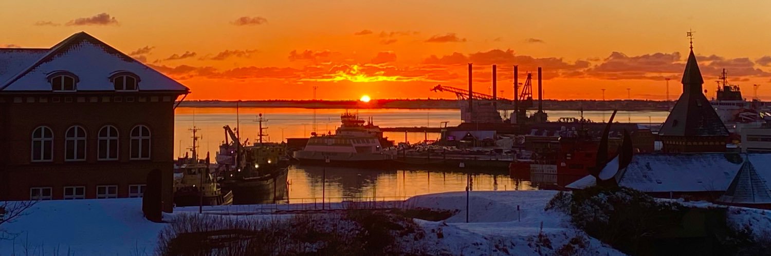 Mogens Nielsen banner