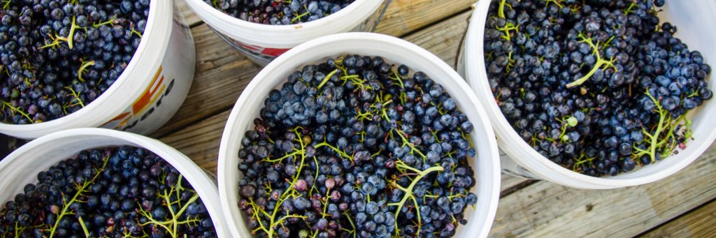 NMWines's profile banner image