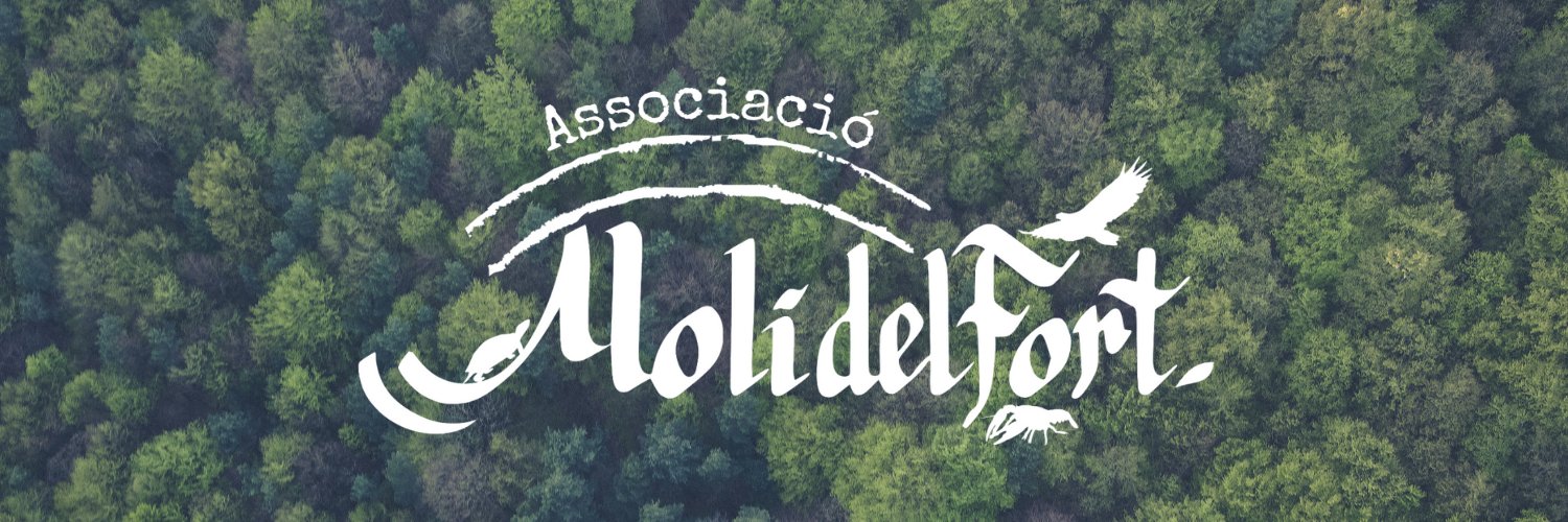 molidelfort's profile banner image