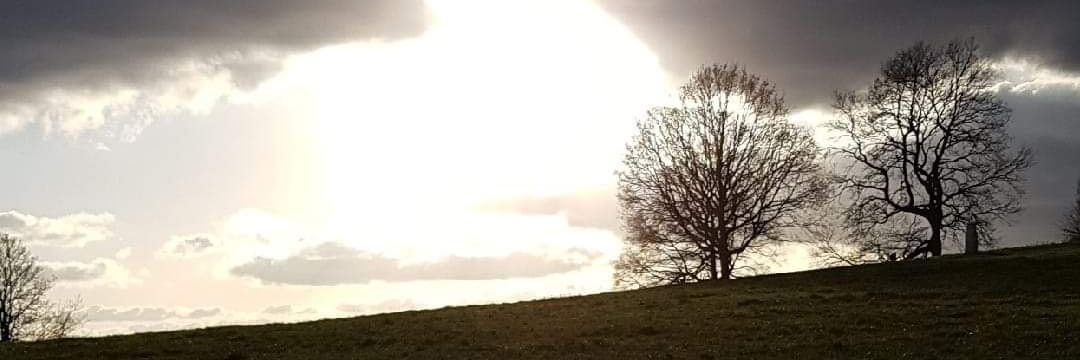 Mae_Sleeman's profile banner image
