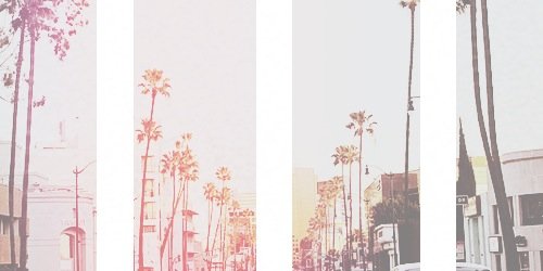 ava banner