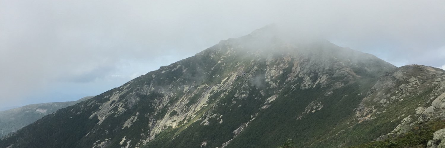 ZanderLaz banner