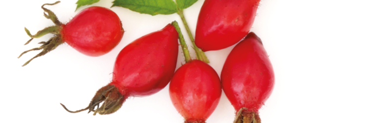 HedgerowProduct's profile banner image