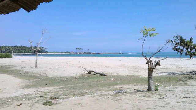 sefty_mulya's profile banner image