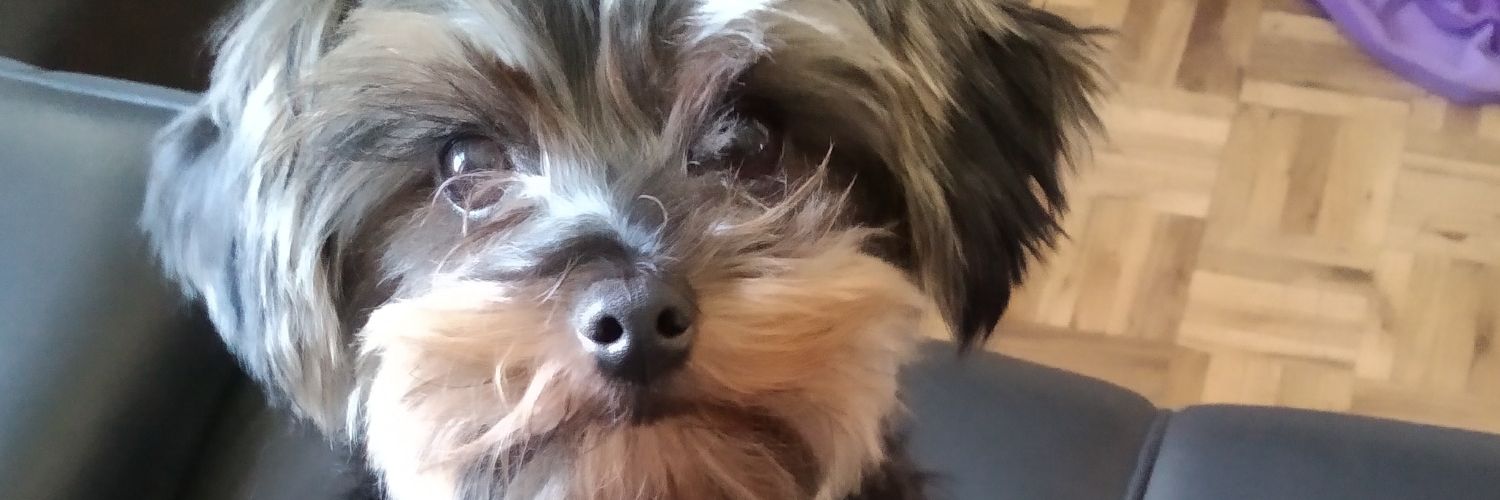 gabbh's profile banner image