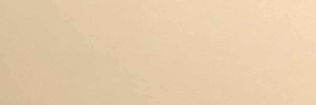salli banner