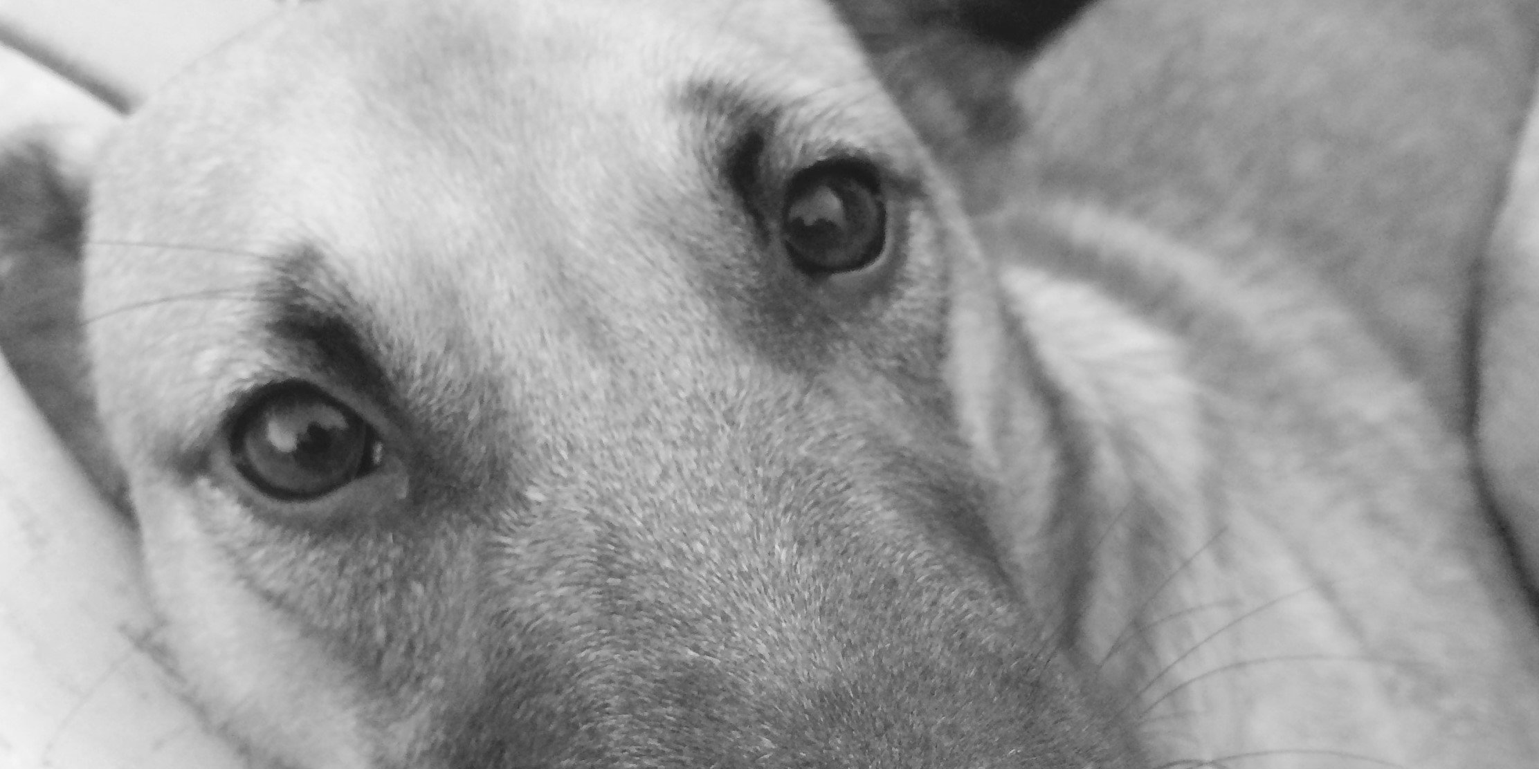 eddappiah's profile banner image