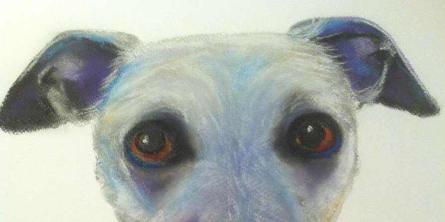 DickyMalton's profile banner image