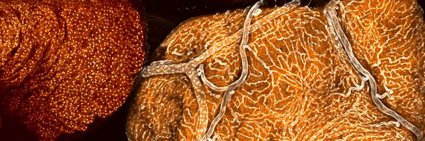 AaronJonScott Profile Banner