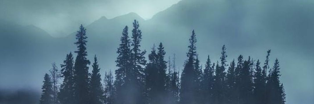 Milbosques's profile banner image
