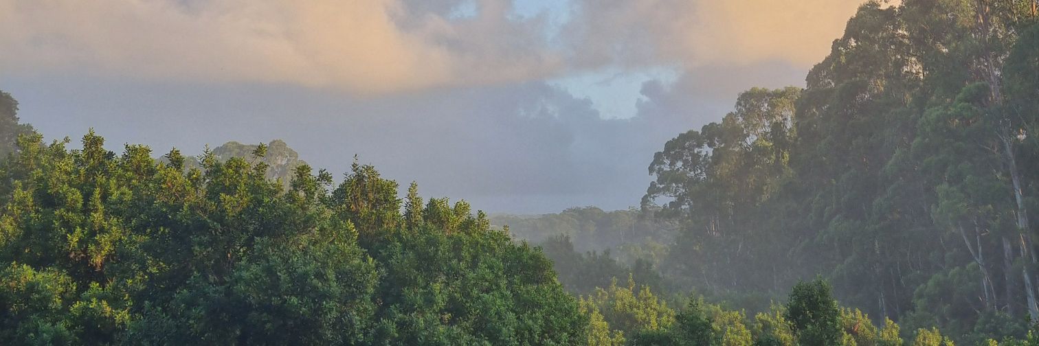BenjaminMartin3's profile banner image