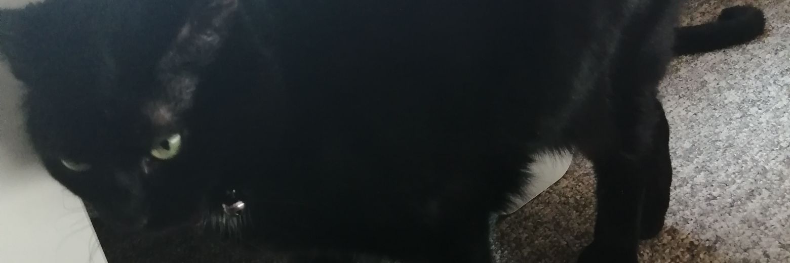 Gigachick11's profile banner image