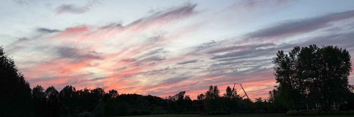 efsunselin's profile banner image
