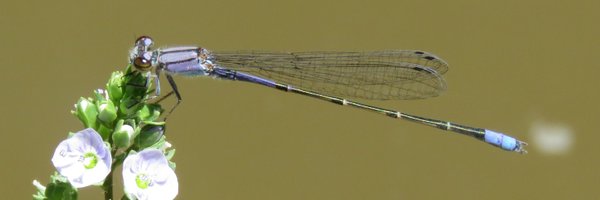 mtbogan Profile Banner