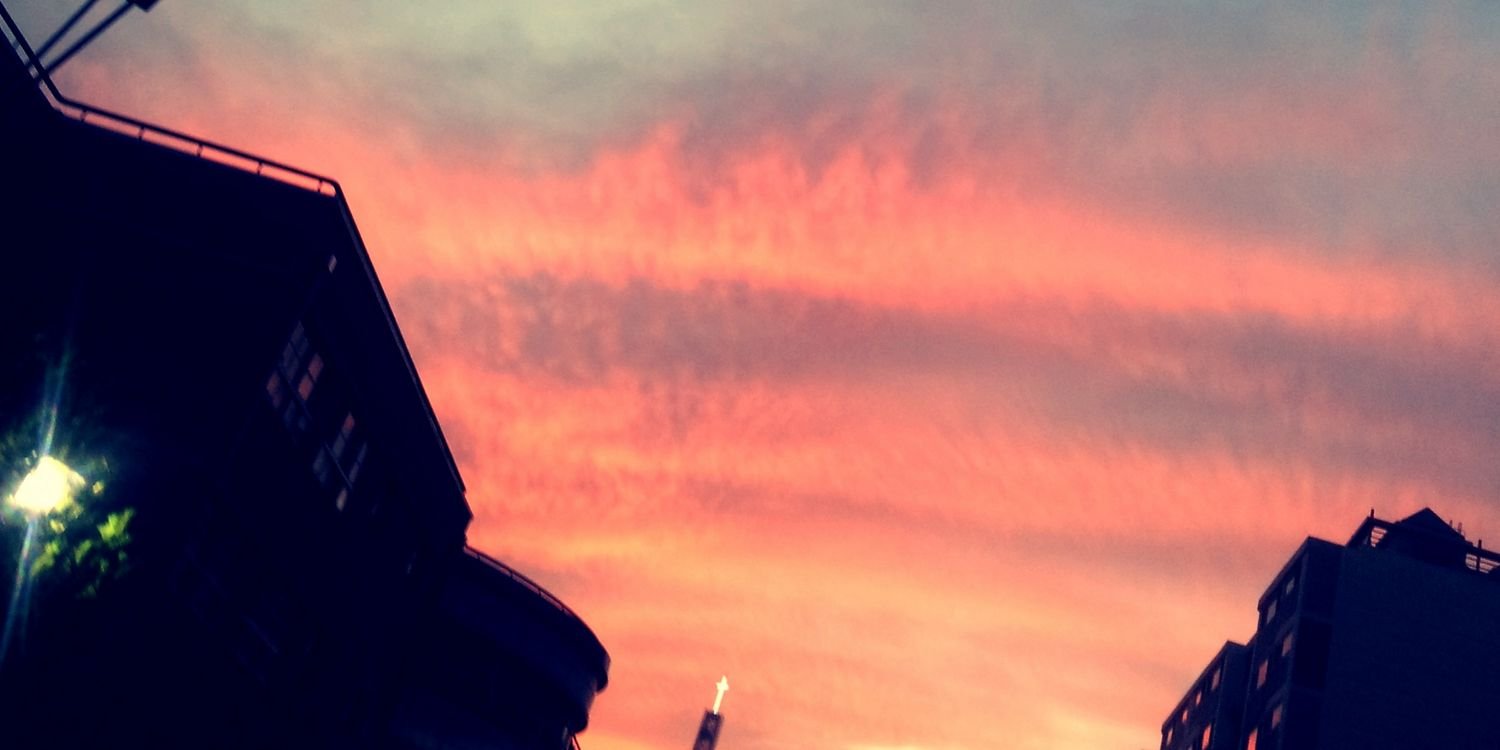 🐹🎧🥞☕ ☆린요쨔마★ banner