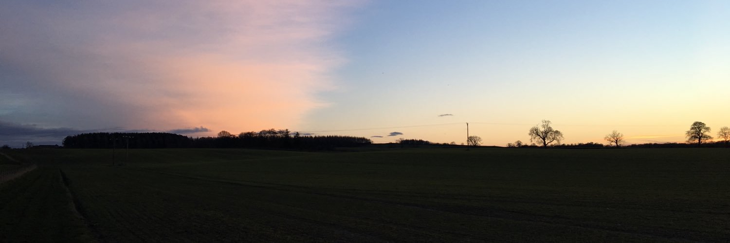 MiaOldroyd's profile banner image