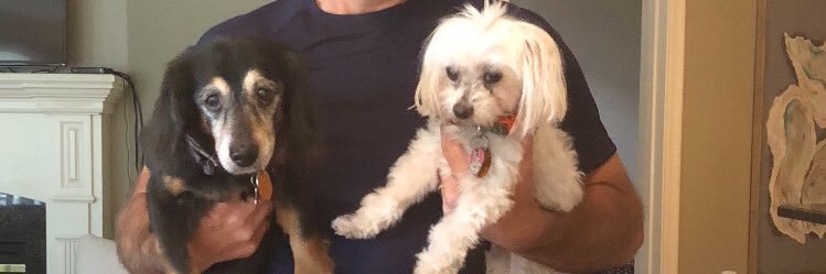 Pernell Pellegrin banner