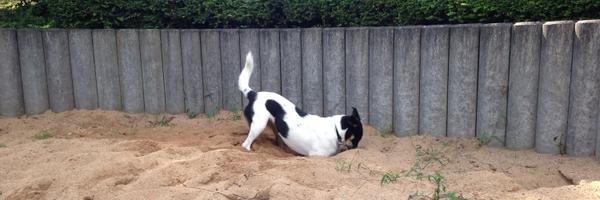 INessbach Profile Banner