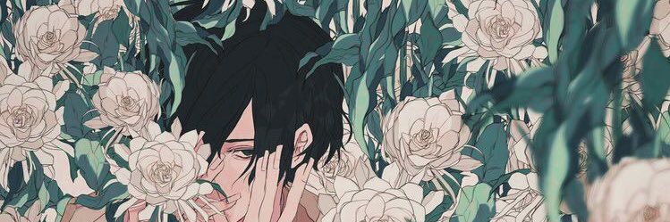 solstrish's profile banner image