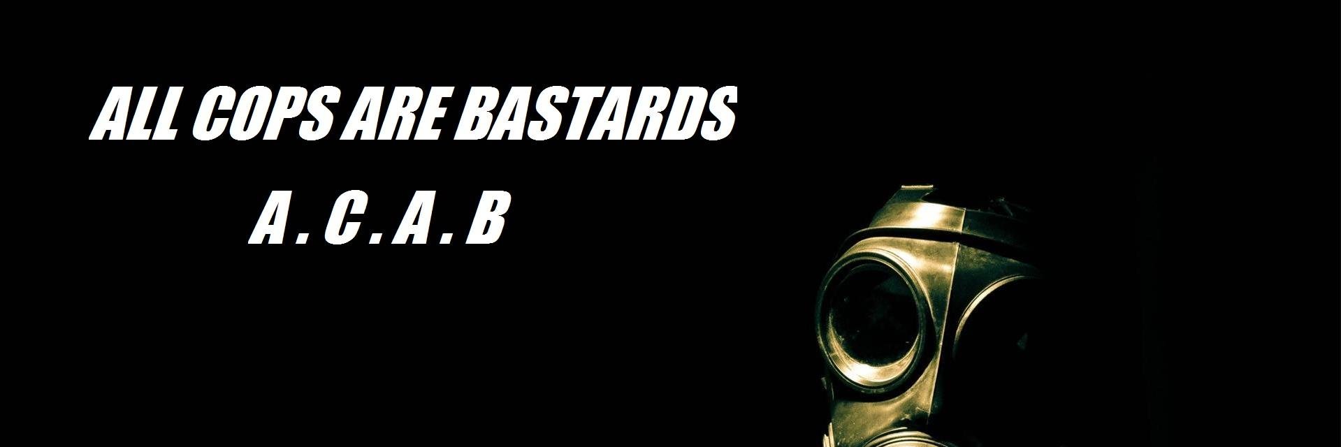 aroypitu's profile banner image