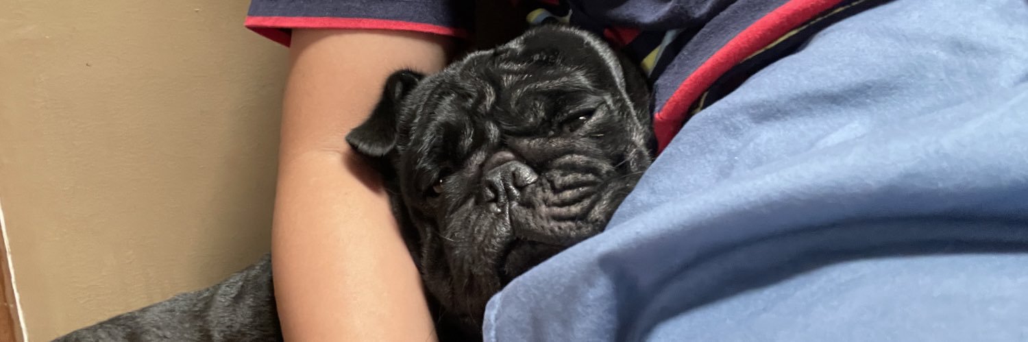 yeheybacon's profile banner image