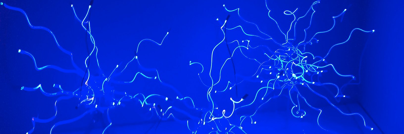 gomargo2's profile banner image