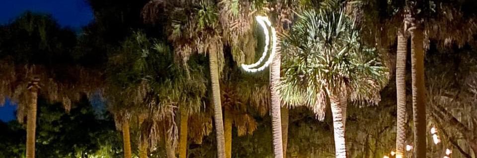 Tyler Palisin banner