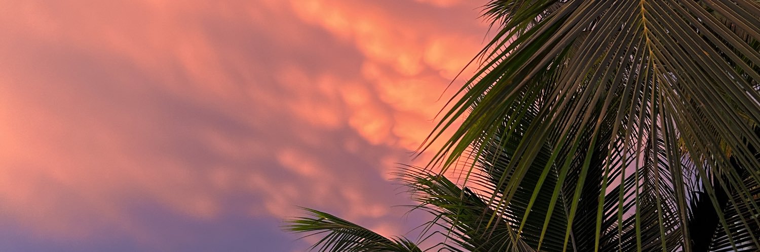 chaaamlr's profile banner image