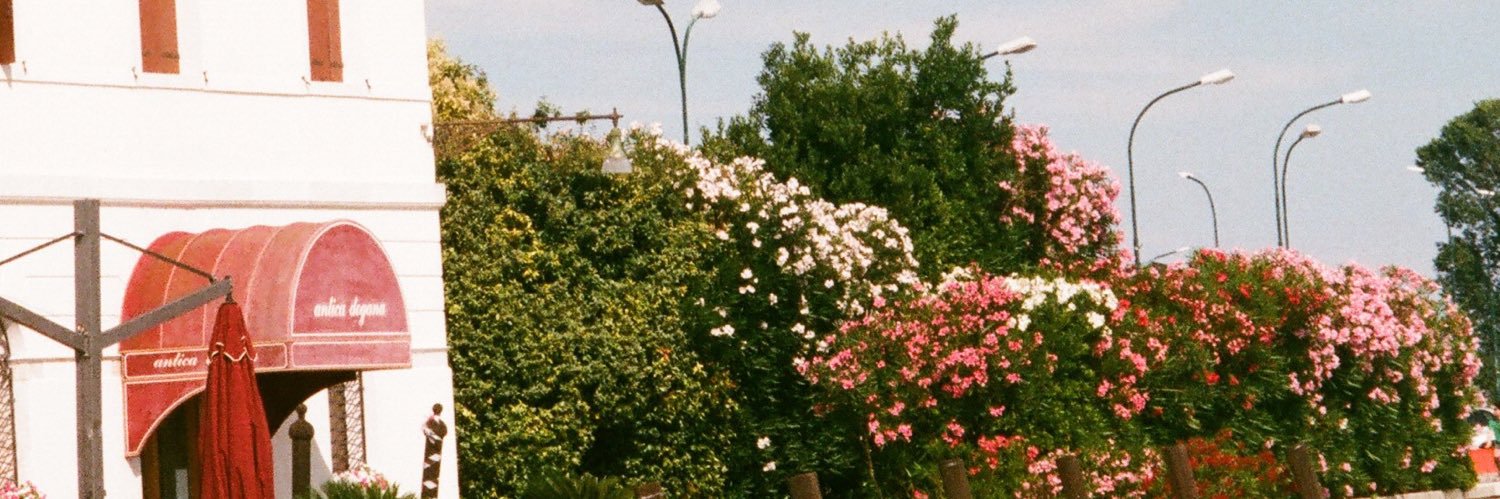 xtina_stoever's profile banner image