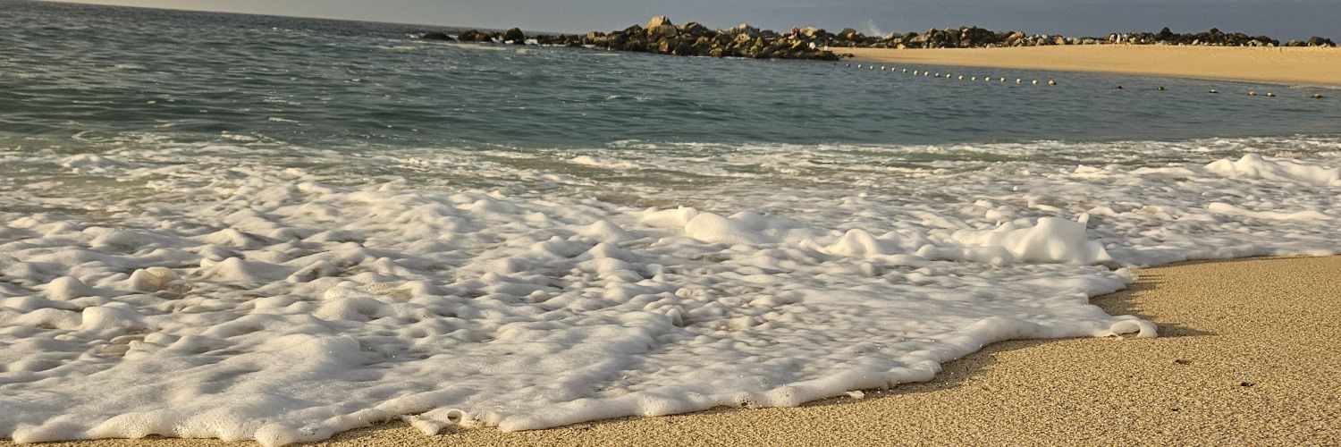 ms_delap's profile banner image