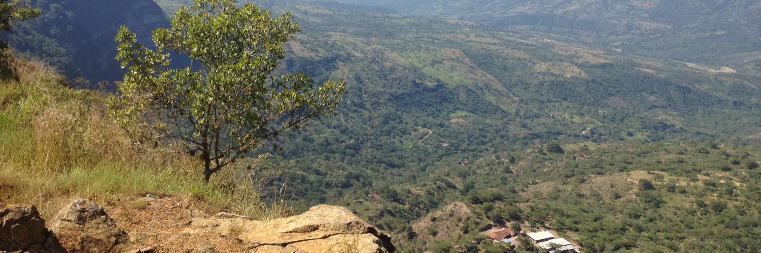 AndreaCatalina Martinez, PhD banner