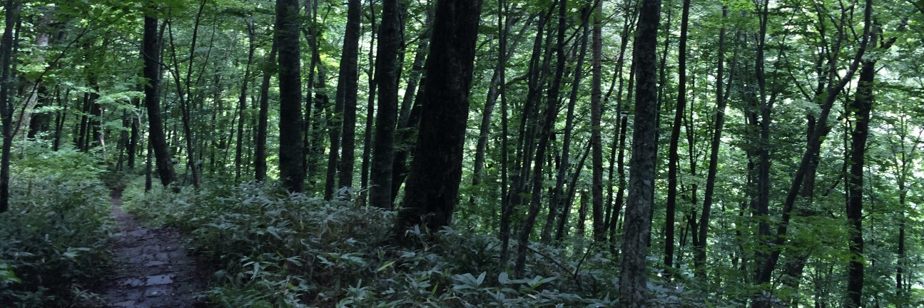 kbt2000's profile banner image