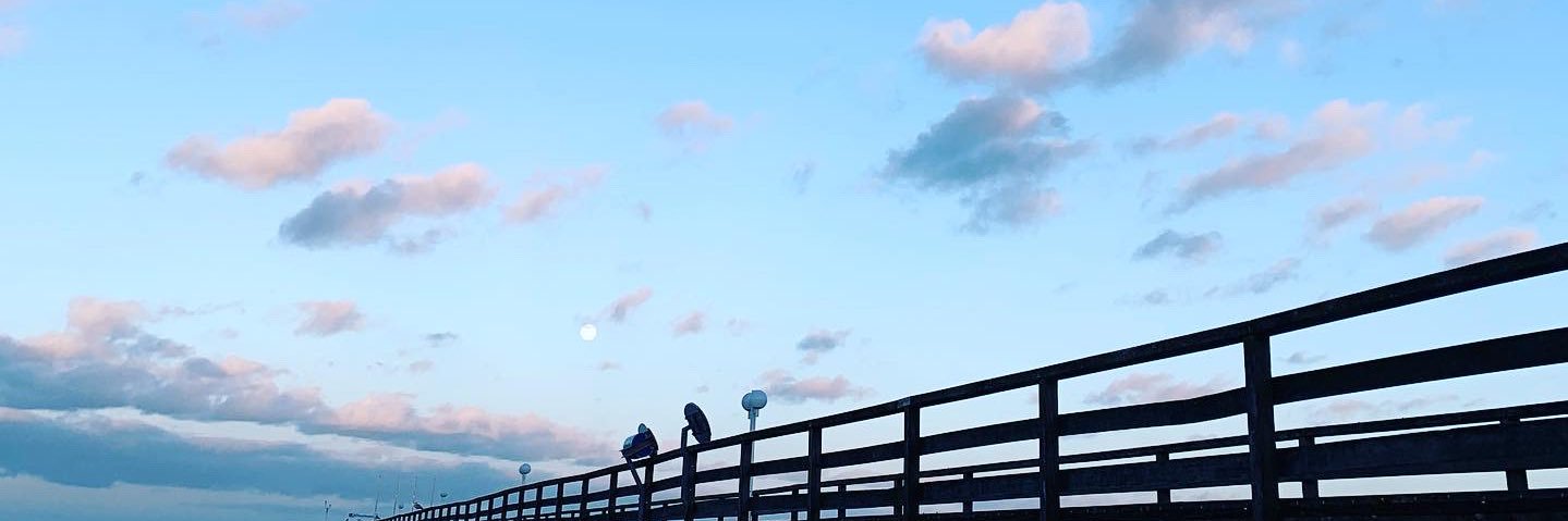 nessaheil's profile banner image