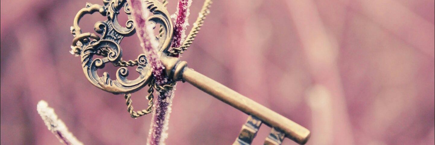 patrimiale's profile banner image