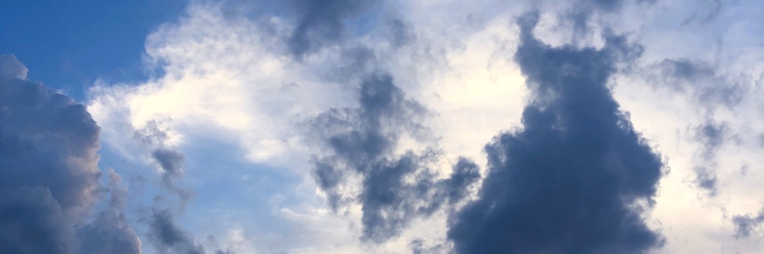 Julia Ganbarg banner