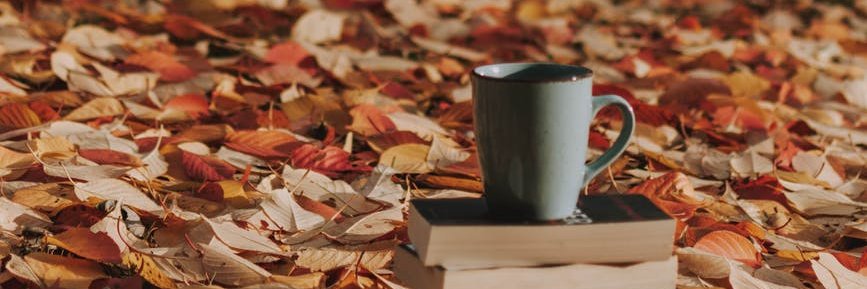 Bowties are cool banner