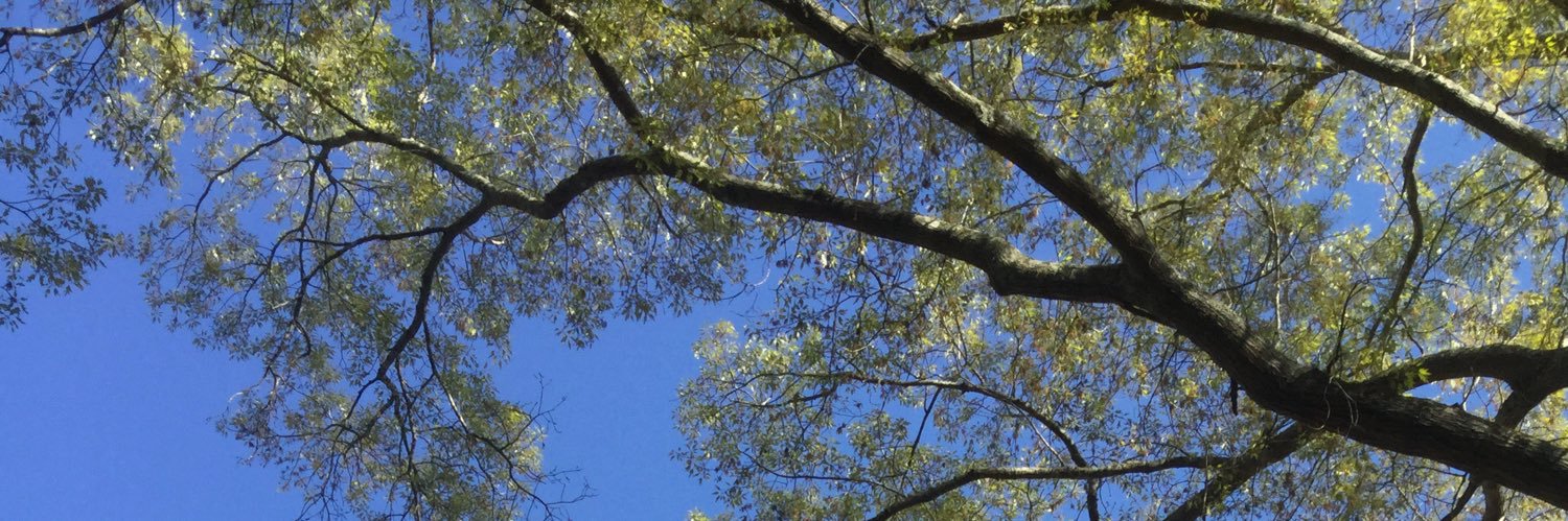 T_barf's profile banner image
