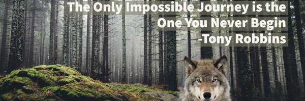 mvhs_ptsa Profile Banner