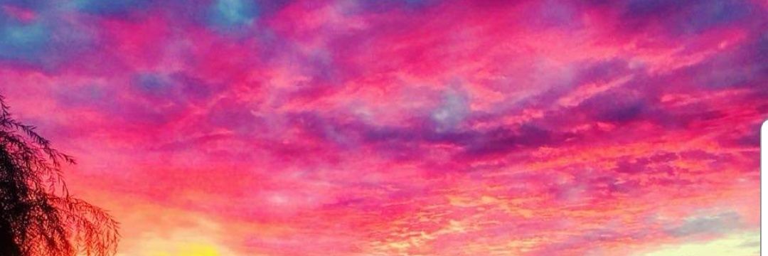 Kushdreamsfly's profile banner image