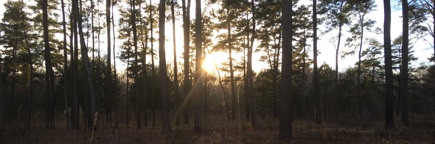 Scott Dinkins banner