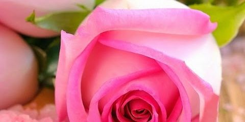 adbla11223344's profile banner image