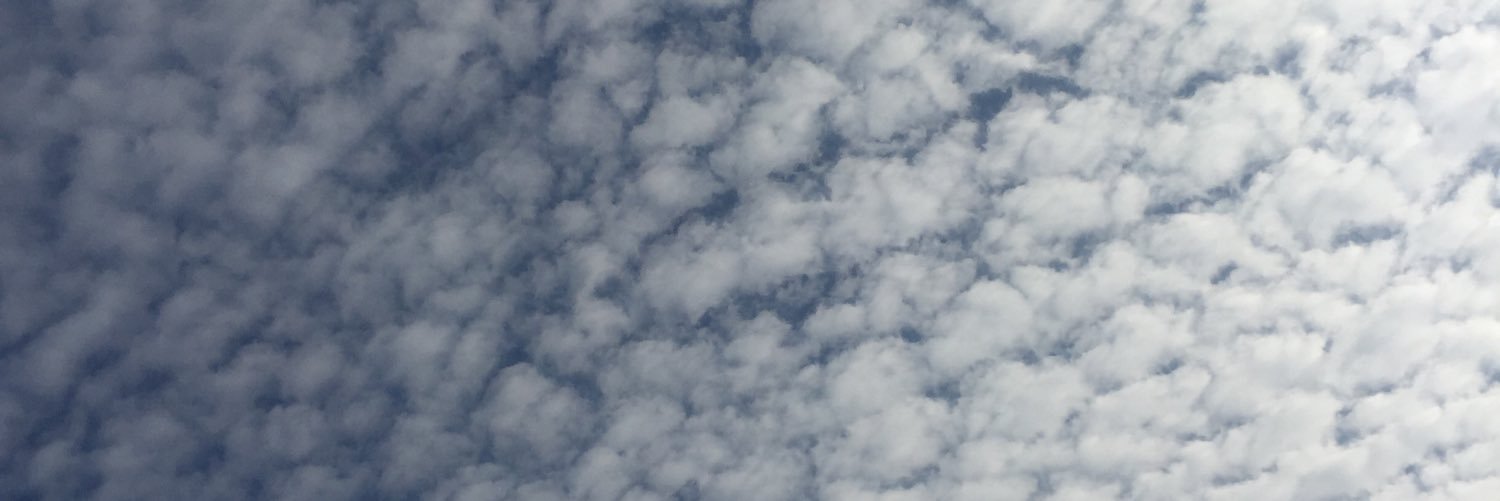 brookeanzalonee's profile banner image