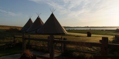 OrwellView's profile banner image