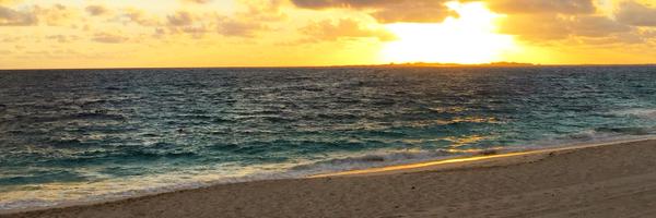 adamagee Profile Banner