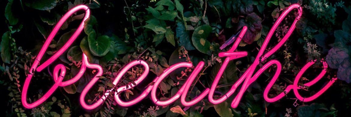 CrownMeZarie's profile banner image