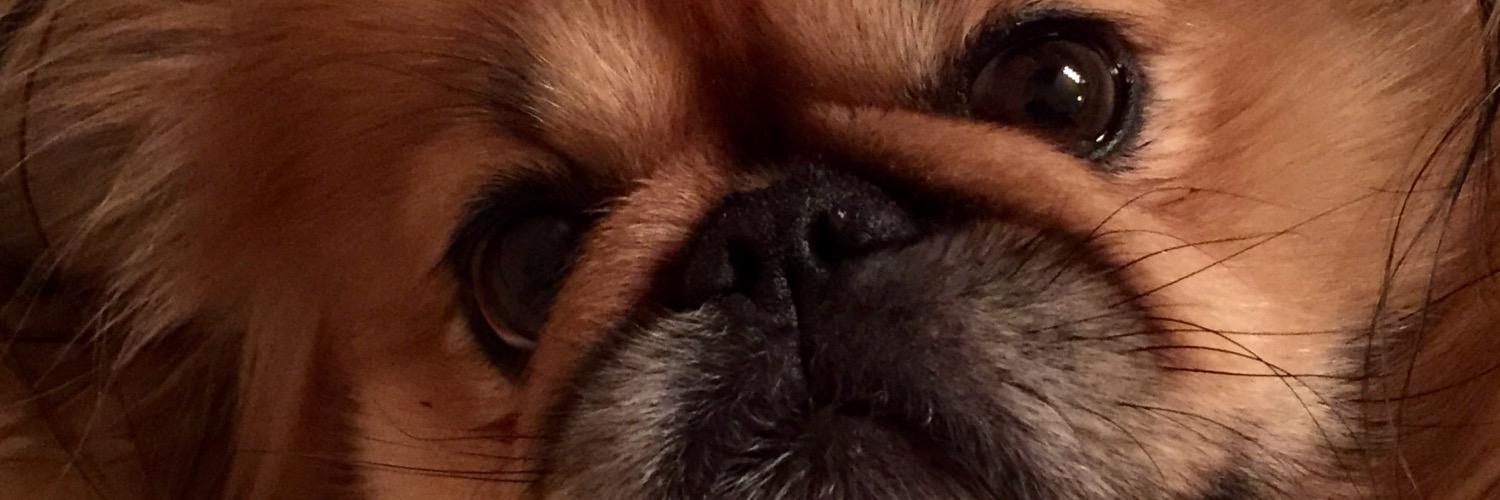 rodneyroe's profile banner image