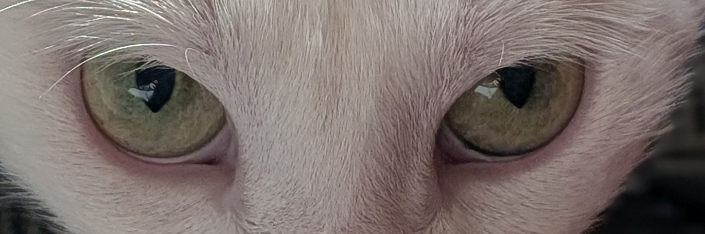 tamiirg_95's profile banner image