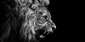 Oates_Meal's profile banner image